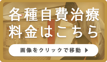 各種自費治療料金